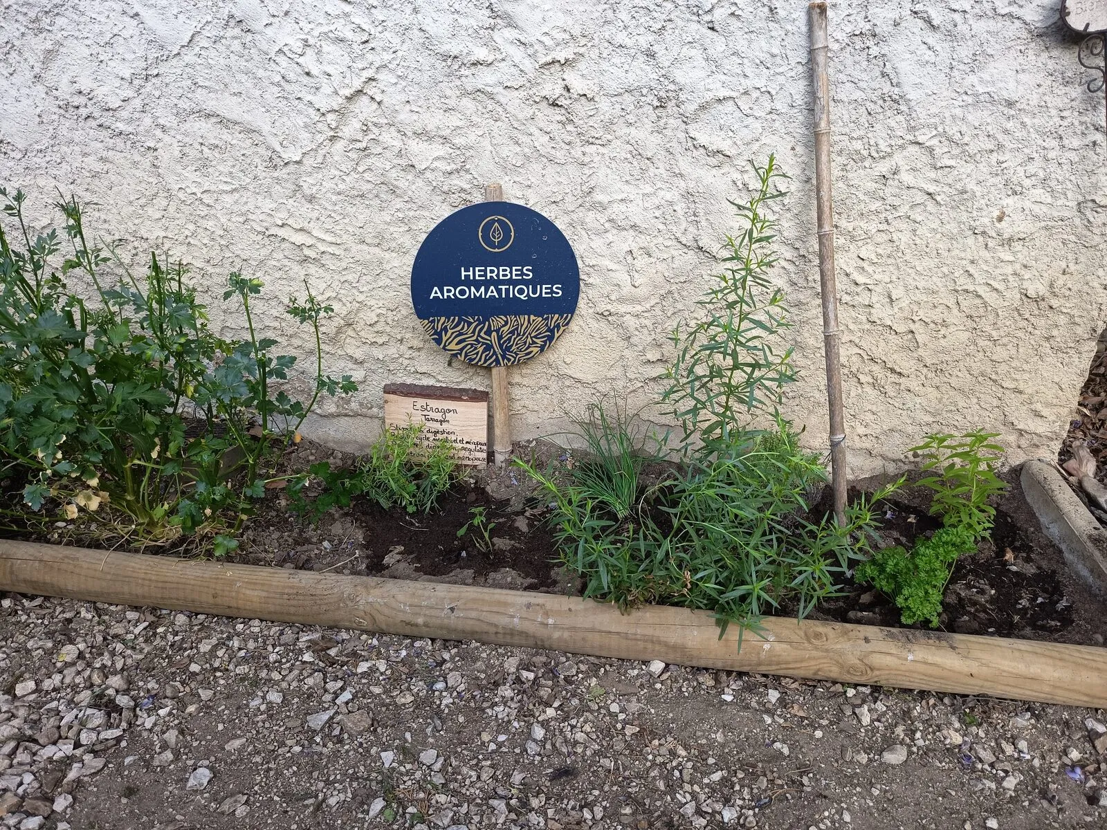 The aromatic herb bed at the foot of a wall, with its sign and the tarragon label